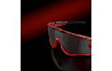 P&auml;ikeseprillid OAKLEY Jawbreaker Red Tiger Prizm Black