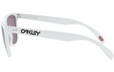 OAKLEY Frogskins 35th Anniversary Polished White Prizm Grey