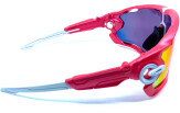 OAKLEY Jawbreaker Pink Prizm Road