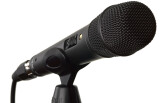 Rode M2 Live Performance Condenser Microphone