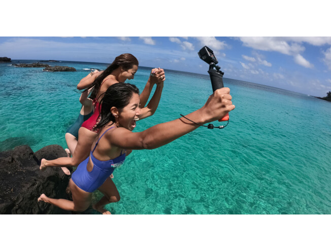 GoPro The Handler v3