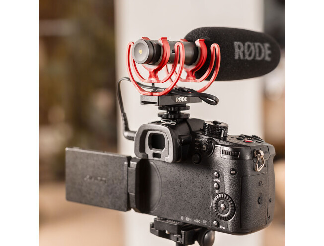 Rode SC10 300mm TRRS patch cable with cable management