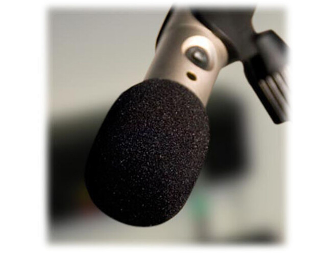 Rode WS3 Pop Filter/Wind Shield