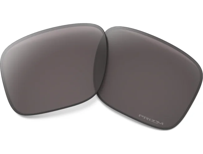 Prilliklaasid OAKLEY Holbrook Prizm Gray Polarized